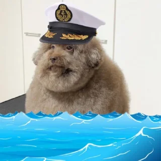😊 emoji який же він… Telegram sticker 9 of 14