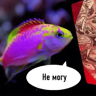 🌟 emoji рыбывнепонятках Telegram sticker 19 of 26