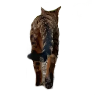 🦶 emoji Леона Telegram sticker 17 of 27