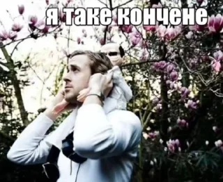 🌟 emoji Свага Telegram sticker 6 of 58