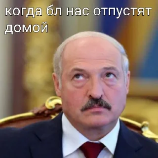 Sticker from Лукашенко 🥸 || @polichhhheh