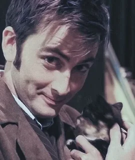 🐱 emoji 10th Doctor being chaotic Telegram sticker 18 of 44