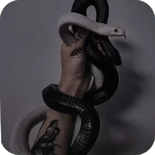🖼 Ayselogiya🍒🍒, стікер Telegram 20 з 90