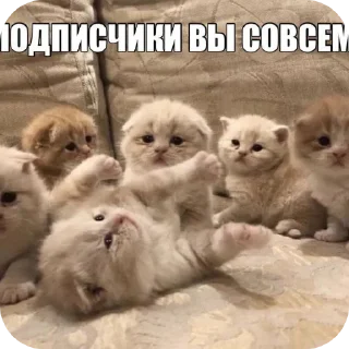 🐱 emoji krSya:3 Telegram sticker 5 of 87