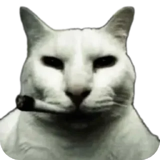 Sticker from The "😼" cat @SantaManches