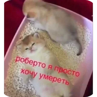 🫥 emoji эщкере Telegram sticker 17 of 41