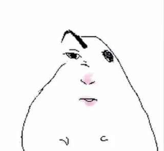 🤨 hamter, Telegram sticker 21 of 50