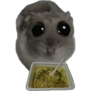 🍝 emoji грустный хомяк Telegram sticker 5 of 30
