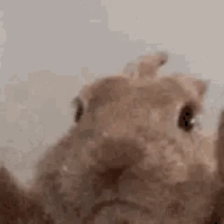 🐰 emoji Полный слэй Telegram sticker 24 of 49