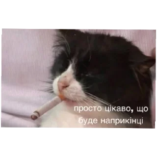 😄 emoji А шо тут? А нішо Telegram sticker 18 of 40
