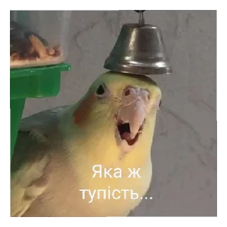 😄 emoji А шо тут? А нішо Telegram sticker 24 of 40