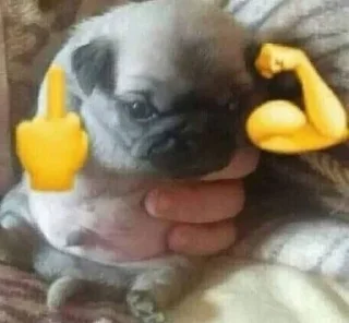 🖕 emoji шосі Telegram sticker 15 of 108