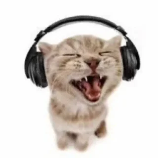 🎧 emoji Мур @arsenic_p Telegram sticker 16 of 28