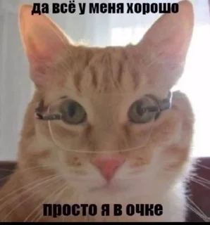 🌟 emoji На случай важных переговоров Telegram sticker 10 of 120