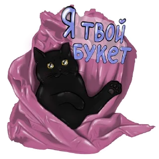❤️ emoji Alister the Black Cat @NyushaRi Telegram sticker 22 of 44
