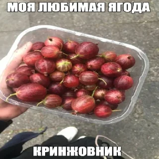 🤢 emoji Для гнид Telegram sticker 21 of 120