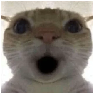 😯 emoji Коты Telegram sticker 7 of 7