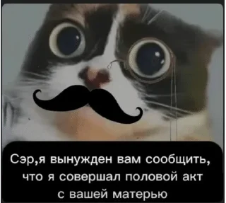 🌟 emoji Тик ток Telegram sticker 19 of 58