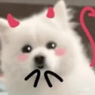 🐾 emoji Samoyed (@puppy_lee) Telegram sticker 14 of 77