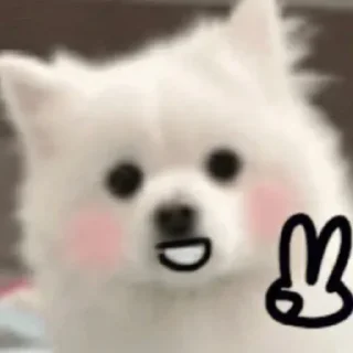 🐾 emoji Samoyed (@puppy_lee) Telegram sticker 15 of 77