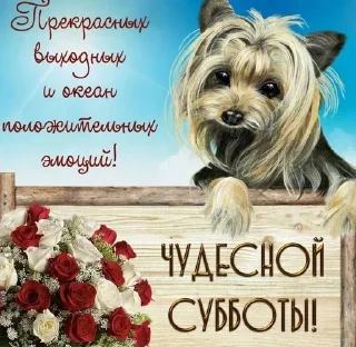 🌟 emoji Открытки Telegram sticker 24 of 44