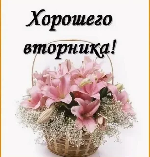 🌟 emoji Открытки Telegram sticker 5 of 44