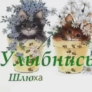 ❤️ Капец, стикер Telegram 12 из 56