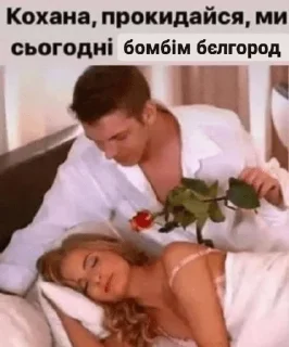 🌹 картиночки, стикер Telegram 9 из 70