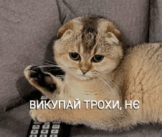 💁‍♂️ картиночки, стикер Telegram 17 из 70