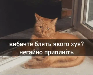 🤨 картиночки, стикер Telegram 23 из 70
