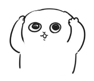 Sticker from чб cat ` | ➩ tg: @wexsavi 🐾