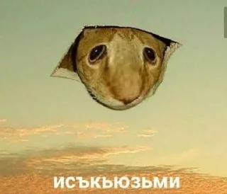 😶 emoji #Мемчик Telegram sticker 19 of 28