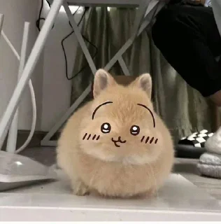 Sticker from good boy