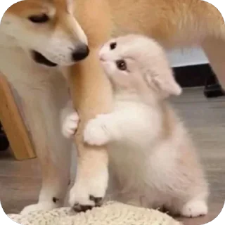 🫥 emoji Личные кити Полины Telegram sticker 19 of 57