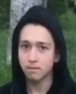 🙂 emoji Діма Камчік💦 Telegram sticker 9 of 44