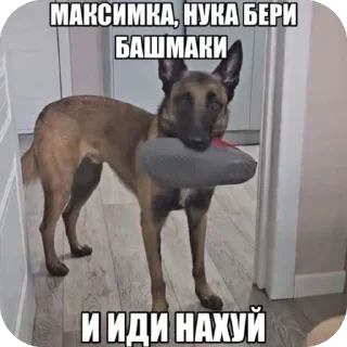 🐶 emoji сексомания<33 Telegram sticker 20 of 120