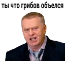 😏 emoji Владимир Вольфович Ж Telegram sticker 12 of 17