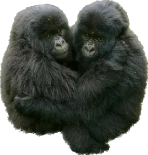 🫂 emoji бебрина Telegram sticker 14 of 14