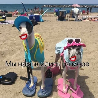 🌊 emoji Эльпешки🤘😘 Telegram sticker 6 of 12