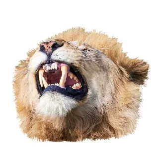 😁 emoji Lion life Telegram sticker 20 of 27