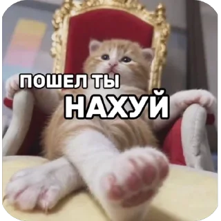😘 emoji @di1dii чё Telegram sticker 19 of 19
