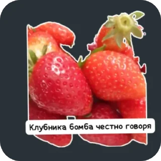 👍 emoji Пон Пон Telegram sticker 12 of 19