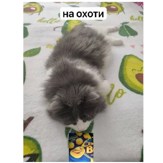 🥰 emoji Винки и Сеня(презик) Telegram sticker 16 of 118