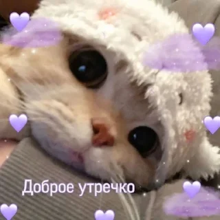 ❤️ emoji 𝚋𝚒𝚕𝚡𝚎𝚡 𝚙𝚊𝚌𝚔 Telegram sticker 21 of 74