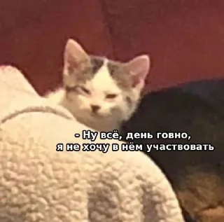 🌟 emoji Тишь-тишь Telegram sticker 23 of 100