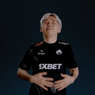 Sticker from Team Spirit Dota2