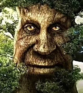 Sticker from Mystical tree