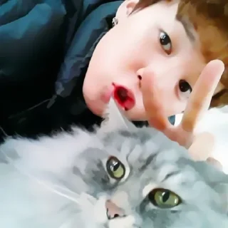 🪃 emoji ˖ ་.JIMIN ! ? ★ ▸ by @lomicor Telegram sticker 15 of 40