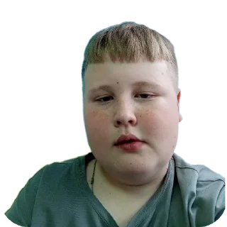 😎 emoji я не ослиха Telegram sticker 7 of 13