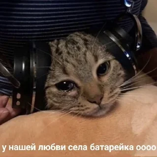 😭 emoji Котя💘 Telegram sticker 17 of 58
